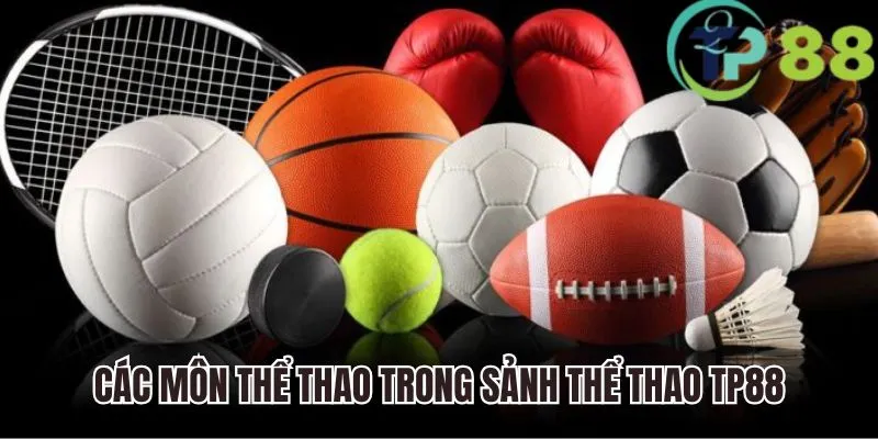 Các môn thể thao nổi bật trong sảnh thể thao TP88